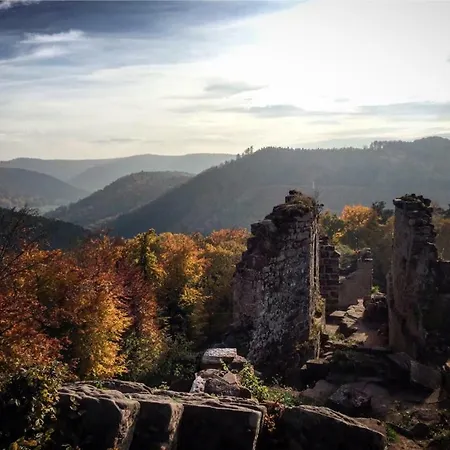 Apartament Meubles De Tourisme Heidelbeere Dambach