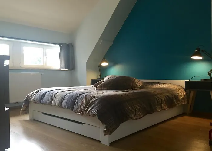 Lejlighed Meubles De Tourisme Heidelbeere Dambach