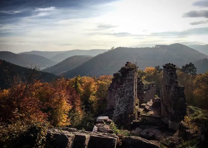 Lejlighed Meubles De Tourisme Heidelbeere Dambach